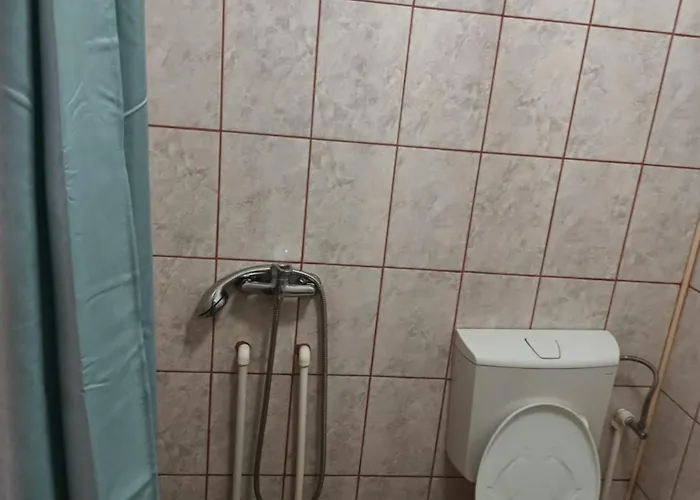 Pensiunea Isabela Craiova