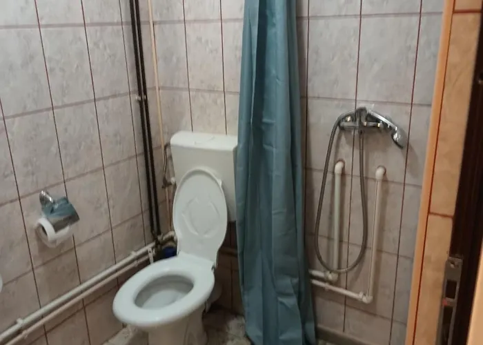 Pensiunea Isabela Guest house