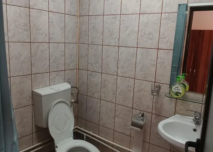 Guest house Pensiunea Isabela Craiova