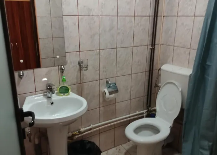 Pensiunea Isabela Guest house