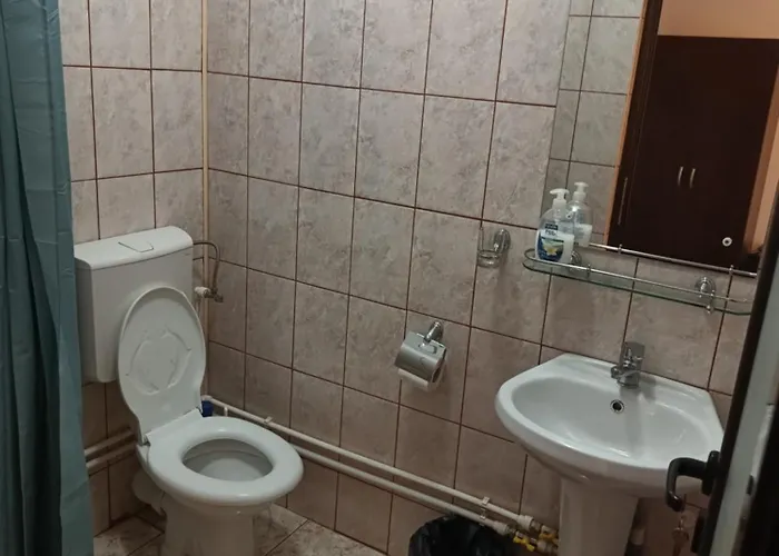 Guest house Pensiunea Isabela Craiova