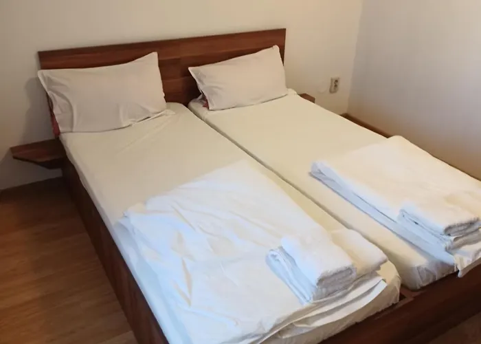 Pensiunea Isabela Craiova